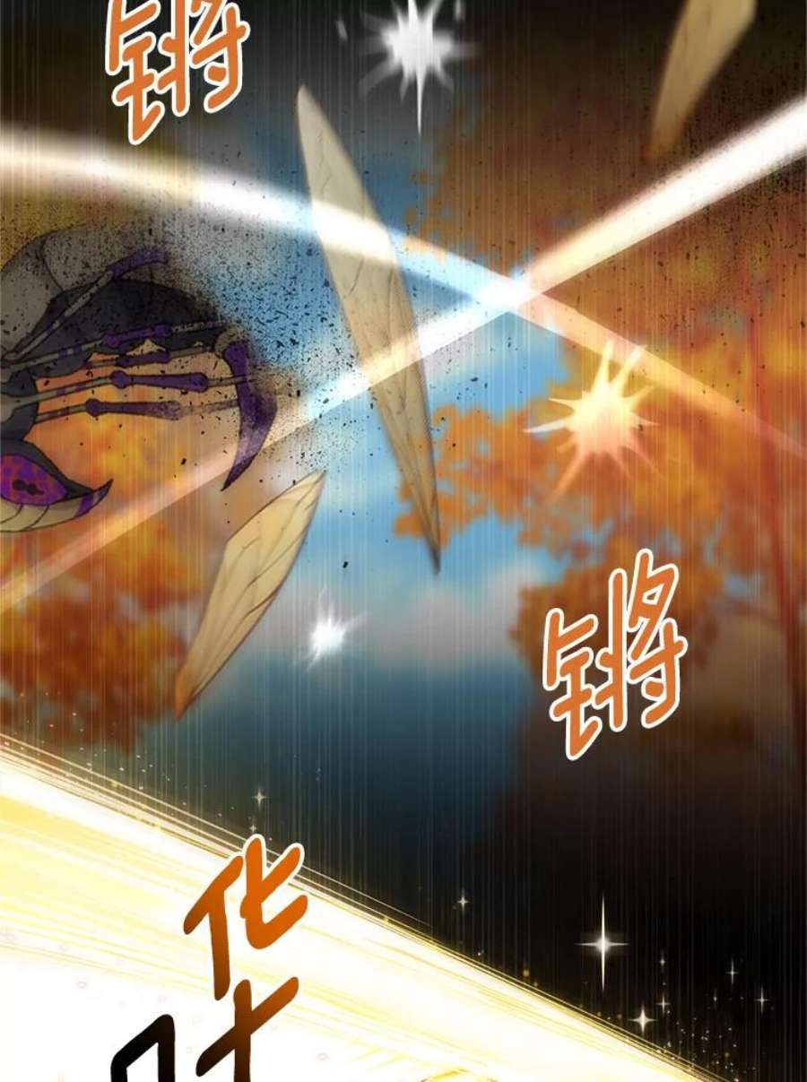 虚名的公爵之妻108.顶级召唤师