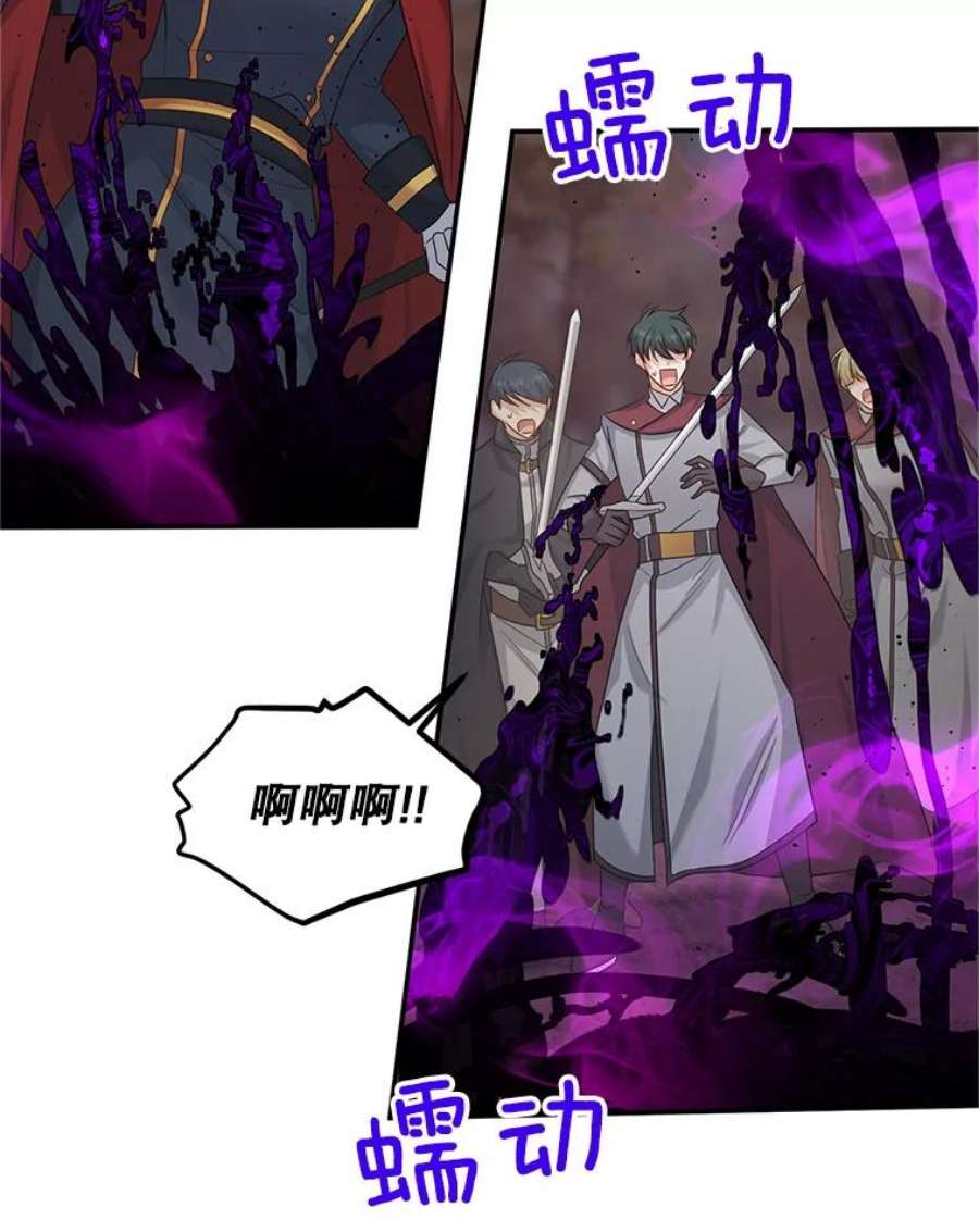 虚名的公爵之妻108.顶级召唤师