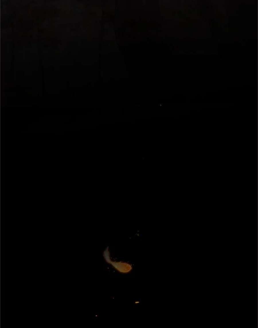 虚名的公爵之妻109.神兽之王卢修斯