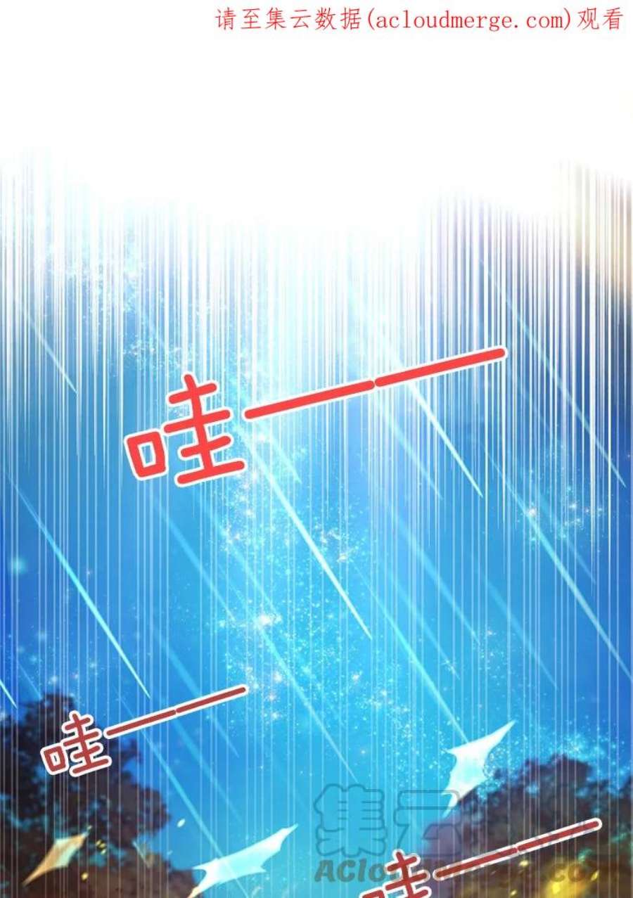 虚名的公爵之妻110.总司令现身