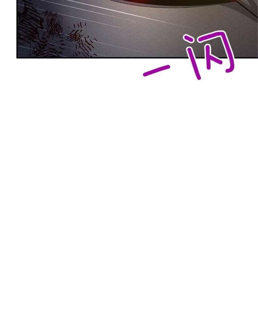 虚名的公爵之妻110.总司令现身