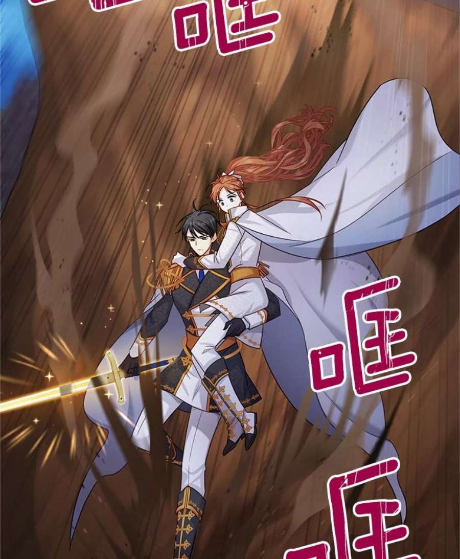 虚名的公爵之妻110.总司令现身