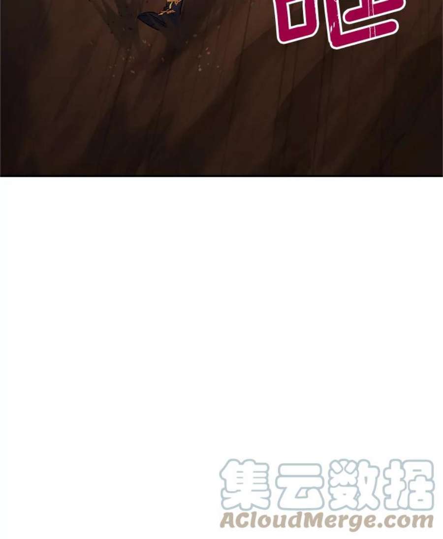 虚名的公爵之妻110.总司令现身