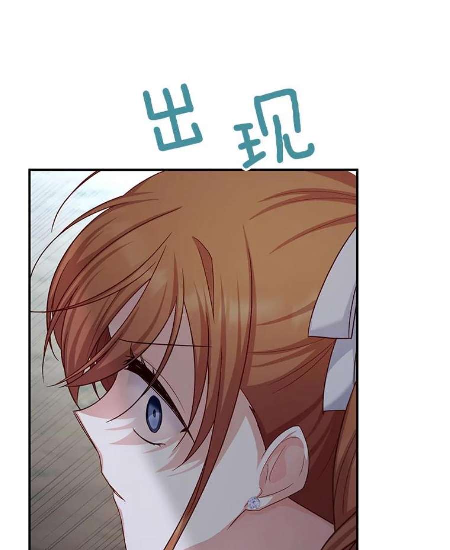 虚名的公爵之妻110.总司令现身