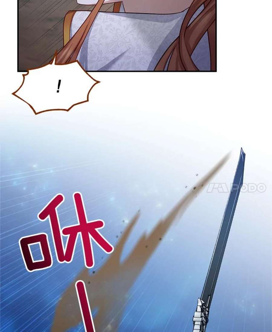 虚名的公爵之妻110.总司令现身