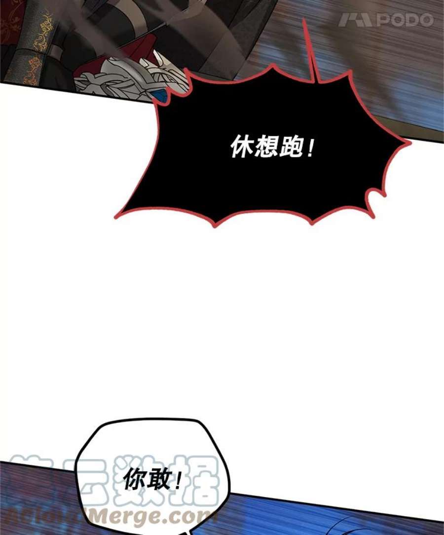虚名的公爵之妻110.总司令现身