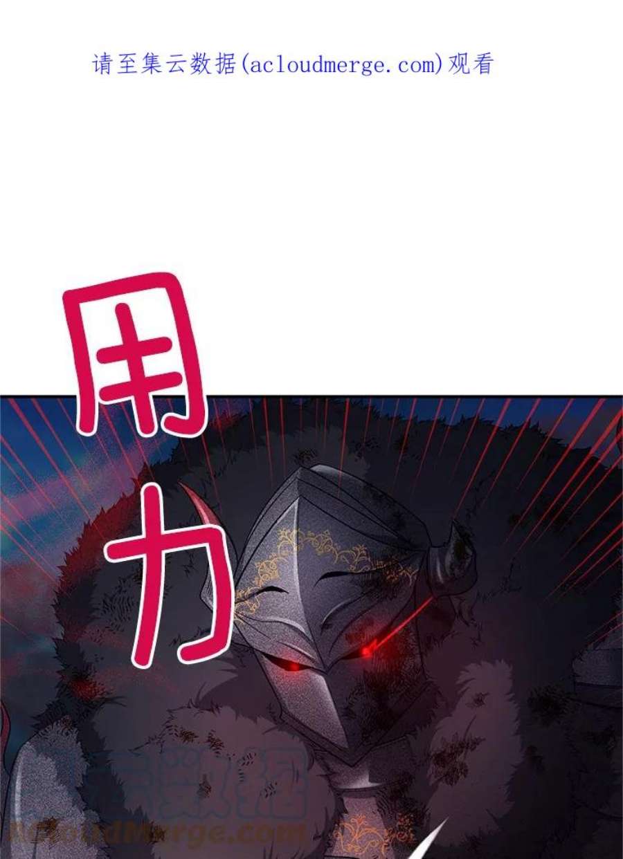 虚名的公爵之妻111.抗拒的圣剑
