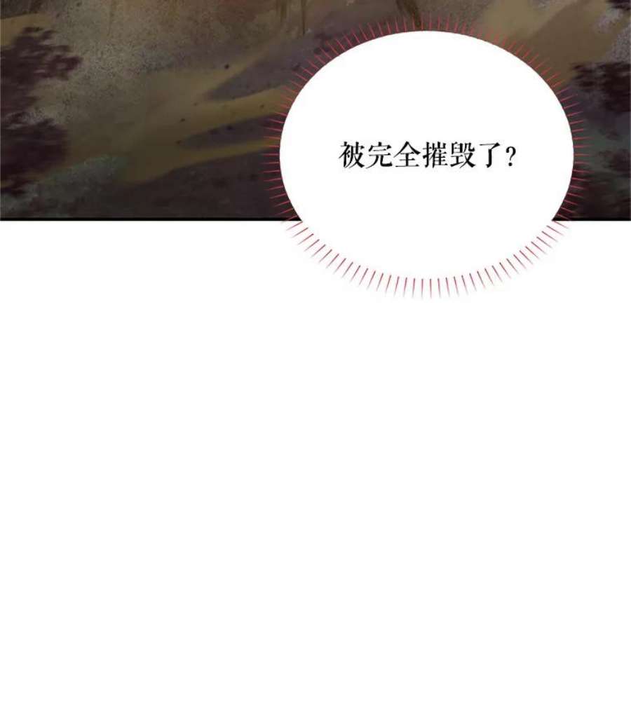 虚名的公爵之妻111.抗拒的圣剑