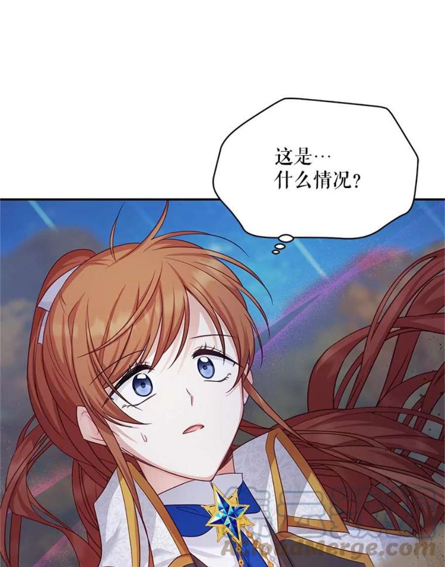 虚名的公爵之妻111.抗拒的圣剑