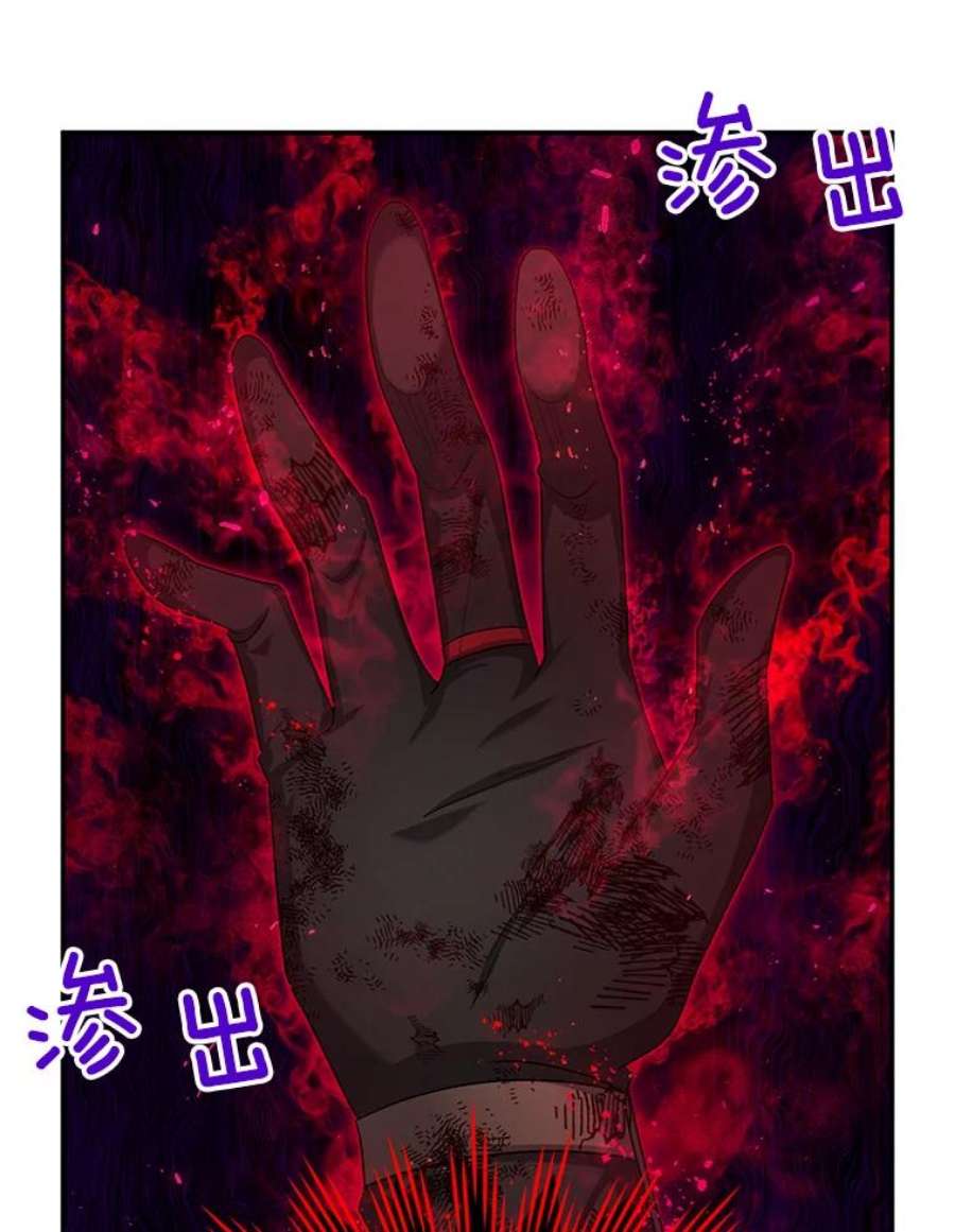 虚名的公爵之妻111.抗拒的圣剑