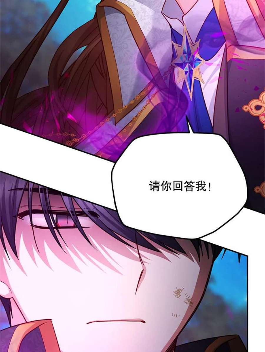 虚名的公爵之妻111.抗拒的圣剑
