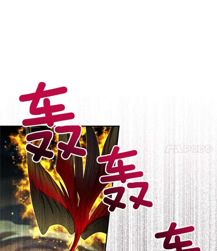 虚名的公爵之妻111.抗拒的圣剑