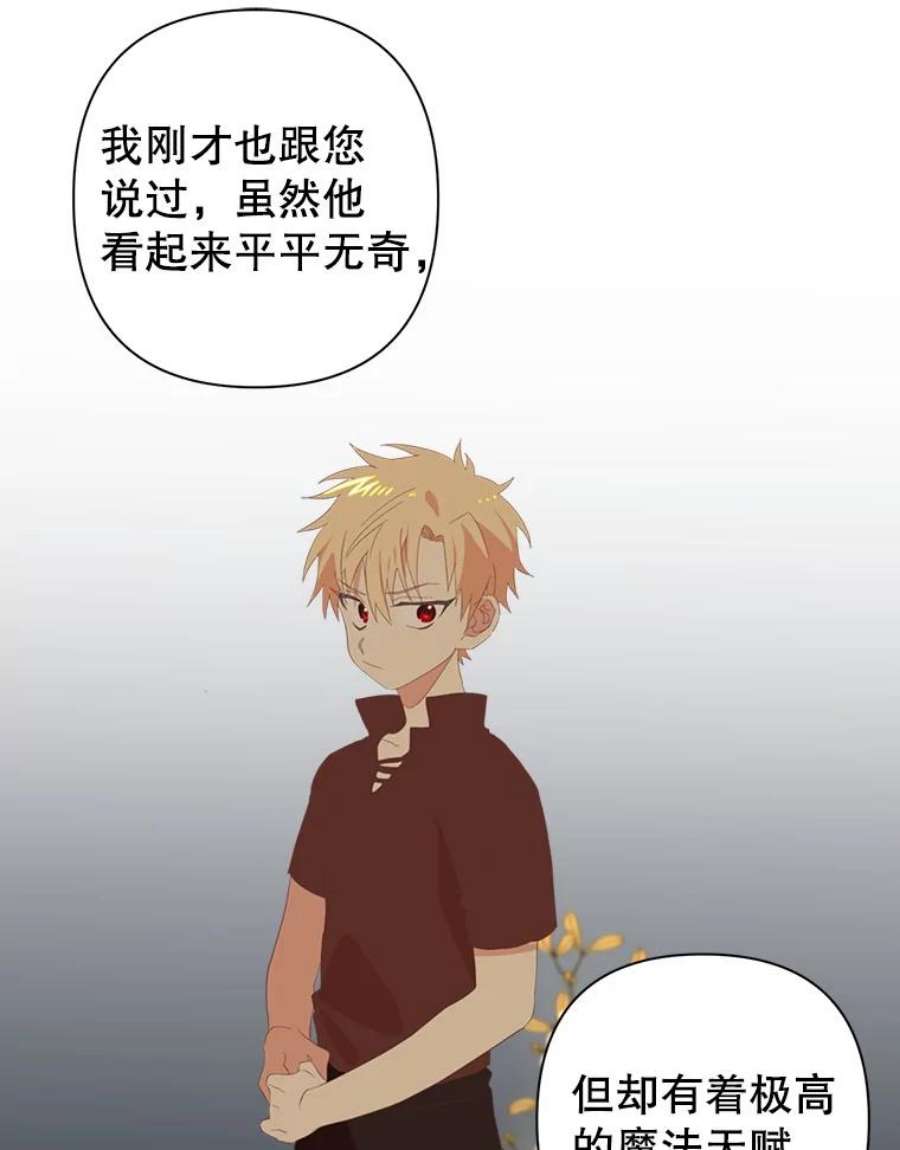 养了个偏执男配3.家族的资助