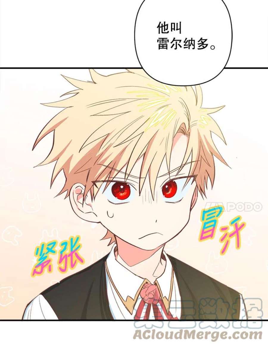 养了个偏执男配6.魔法天赋