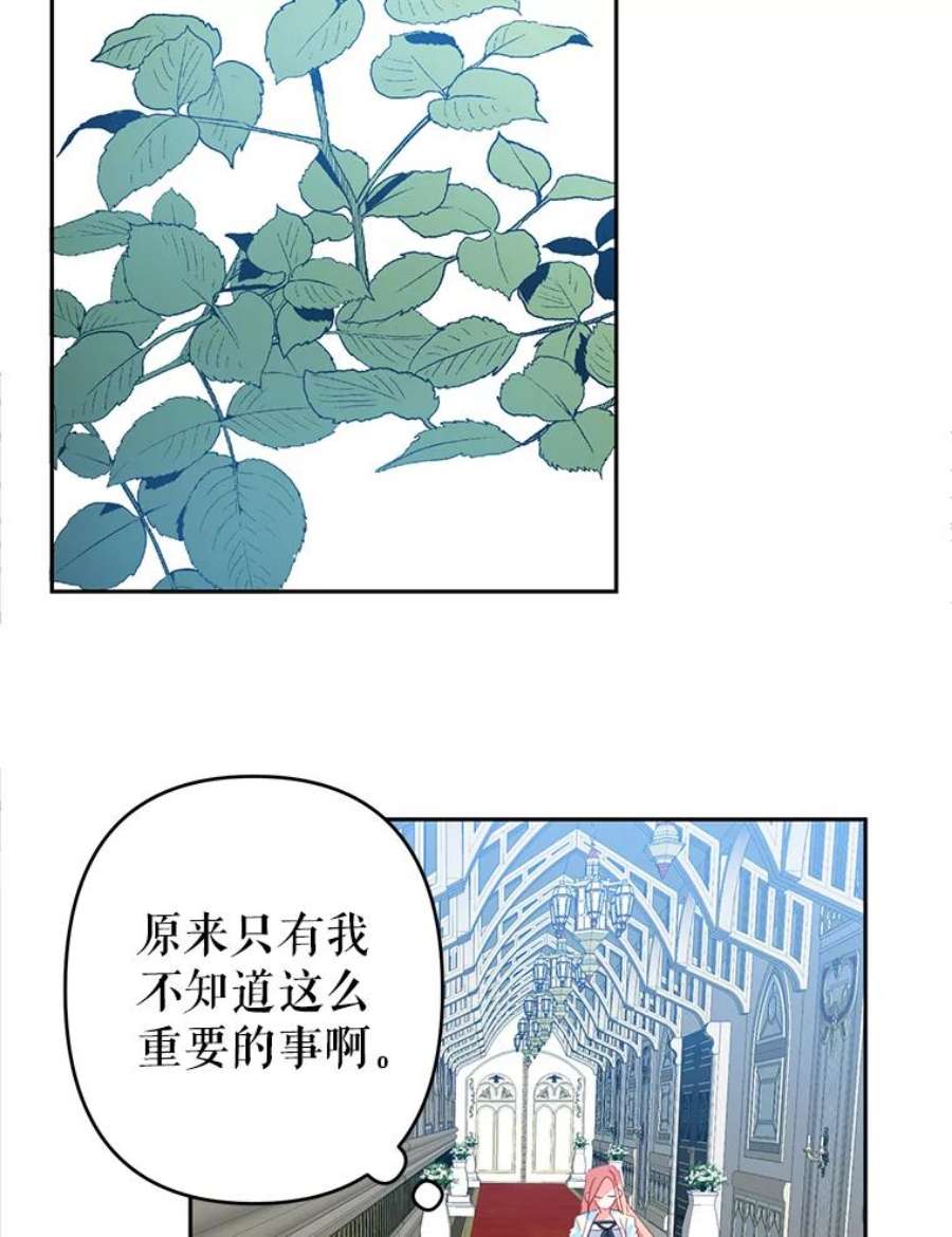 养了个偏执男配38.皇太子出现