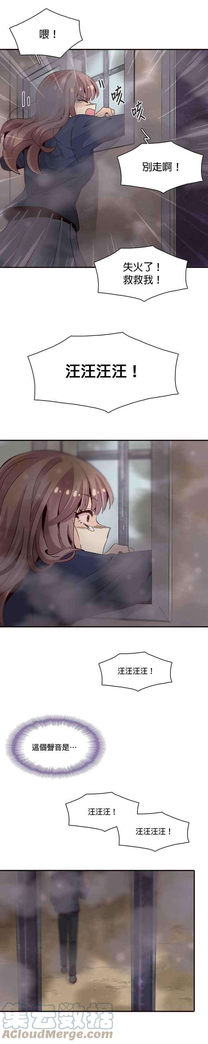 时间的阶梯15话