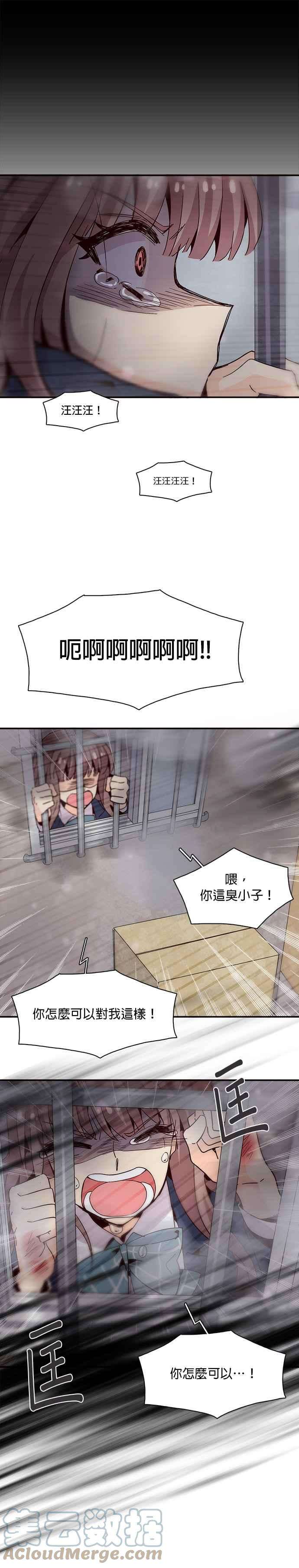 时间的阶梯15话