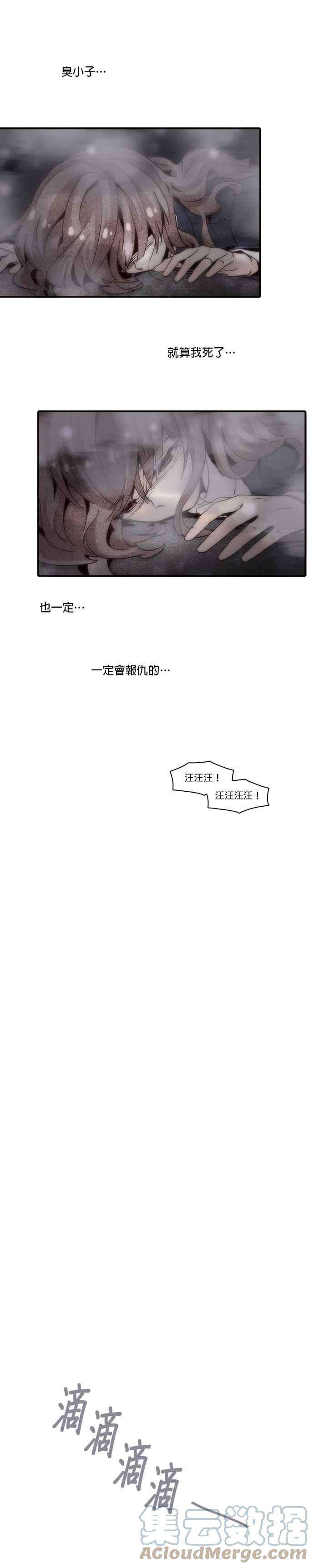 时间的阶梯15话