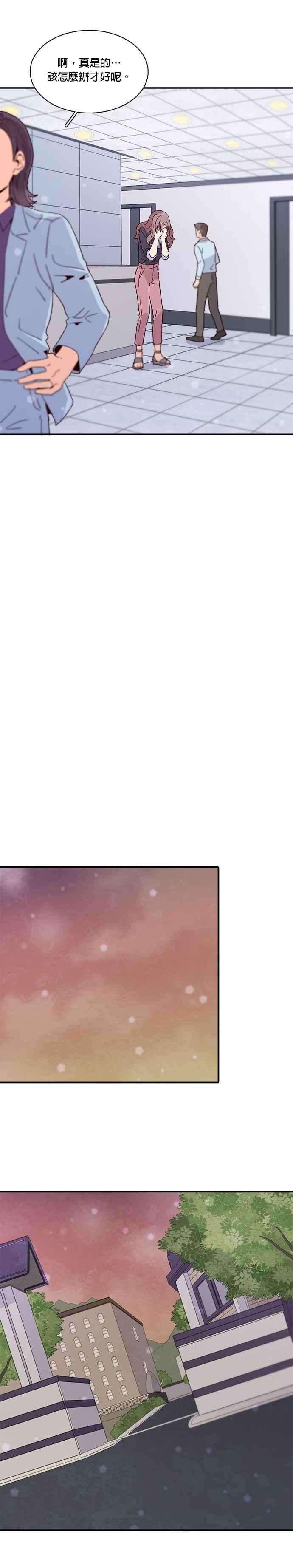 时间的阶梯40话