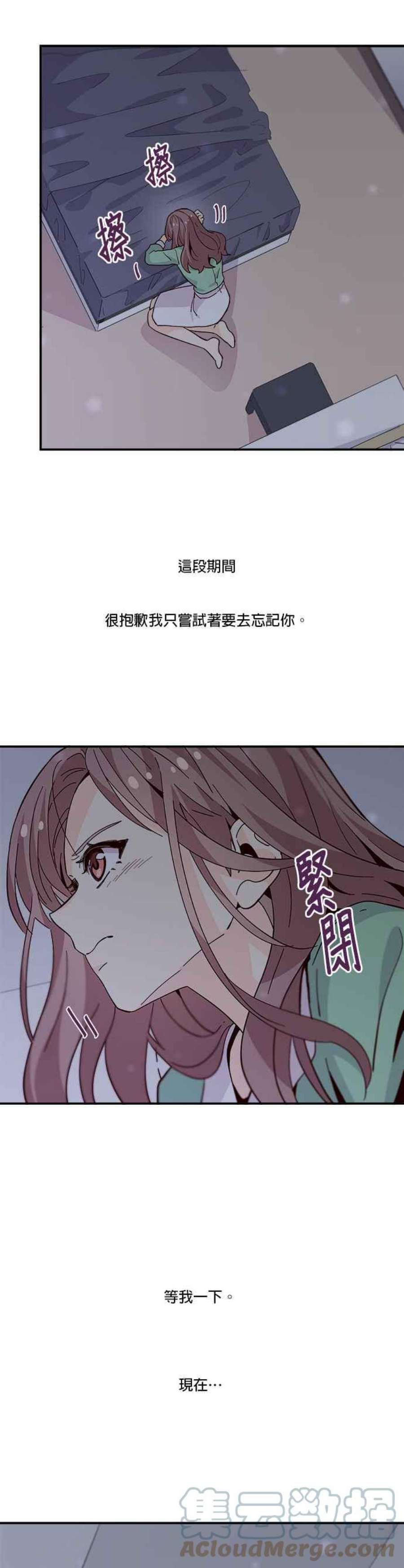 时间的阶梯62话