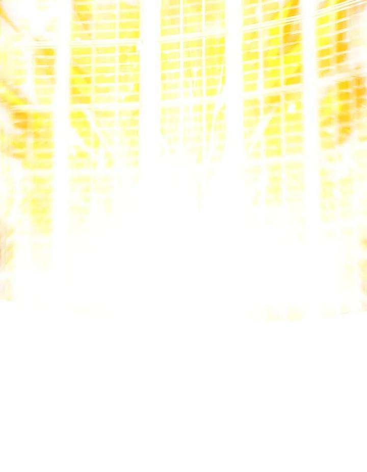 SSS级死而复生的猎人52话