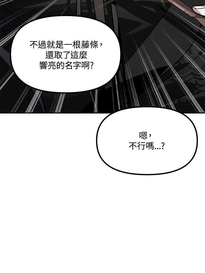 SSS级死而复生的猎人54话