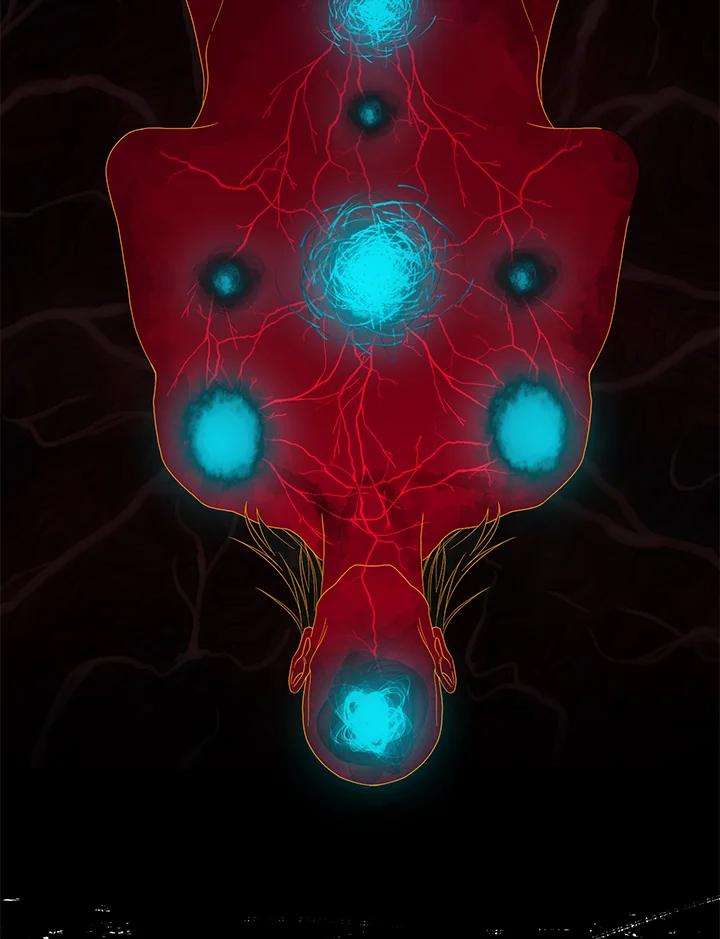 SSS级死而复生的猎人57话