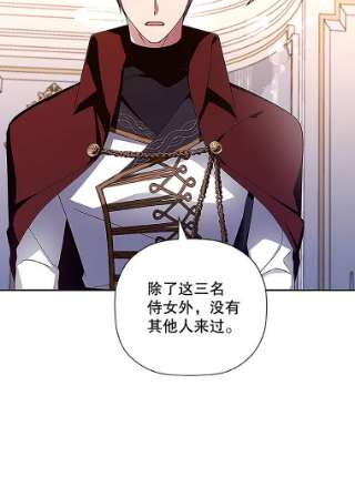 如何隐藏皇帝的孩子11.幕后主使