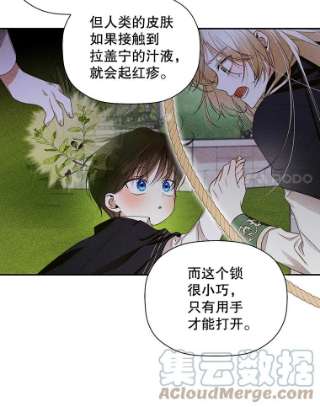 如何隐藏皇帝的孩子11.幕后主使