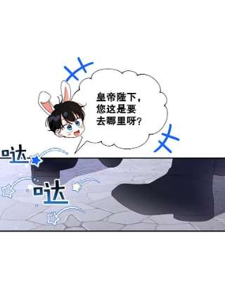 如何隐藏皇帝的孩子13.防不胜防