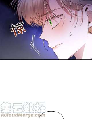 如何隐藏皇帝的孩子19.奇怪的侍女