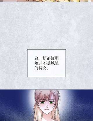 如何隐藏皇帝的孩子19.奇怪的侍女