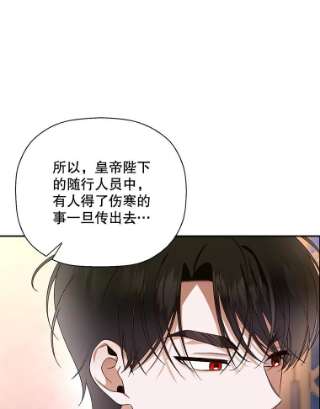 如何隐藏皇帝的孩子21.将计就计