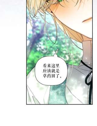 如何隐藏皇帝的孩子21.将计就计