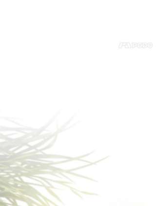 如何隐藏皇帝的孩子21.将计就计