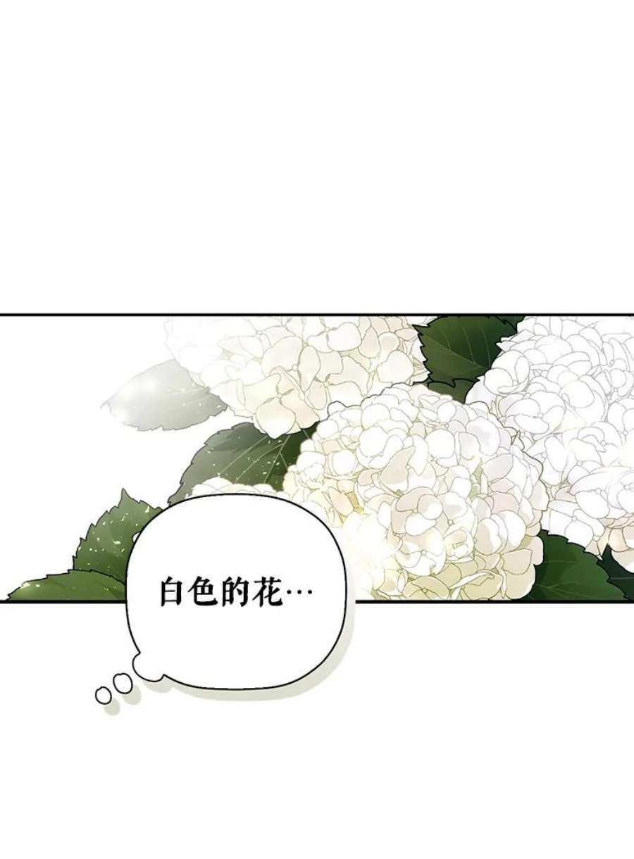 如何隐藏皇帝的孩子22.采草药