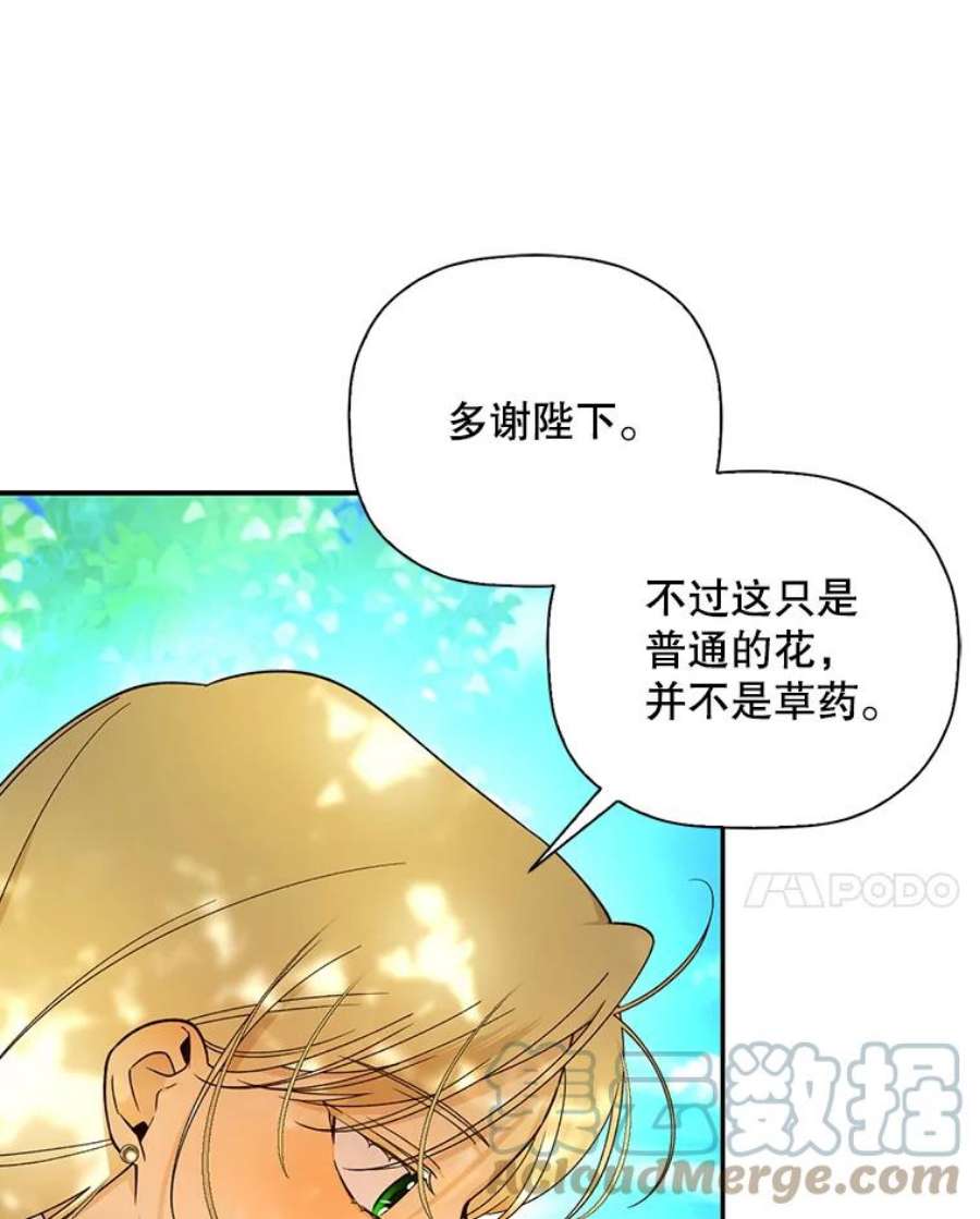 如何隐藏皇帝的孩子22.采草药