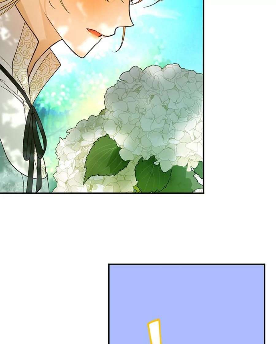 如何隐藏皇帝的孩子22.采草药