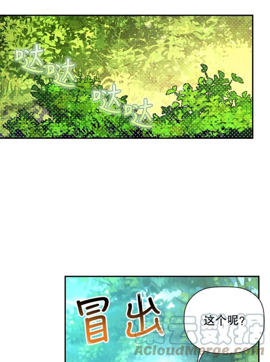 如何隐藏皇帝的孩子22.采草药