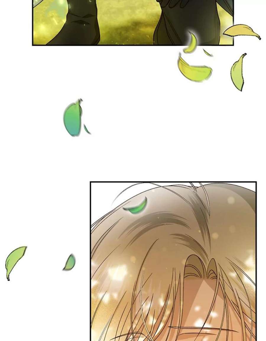 如何隐藏皇帝的孩子22.采草药