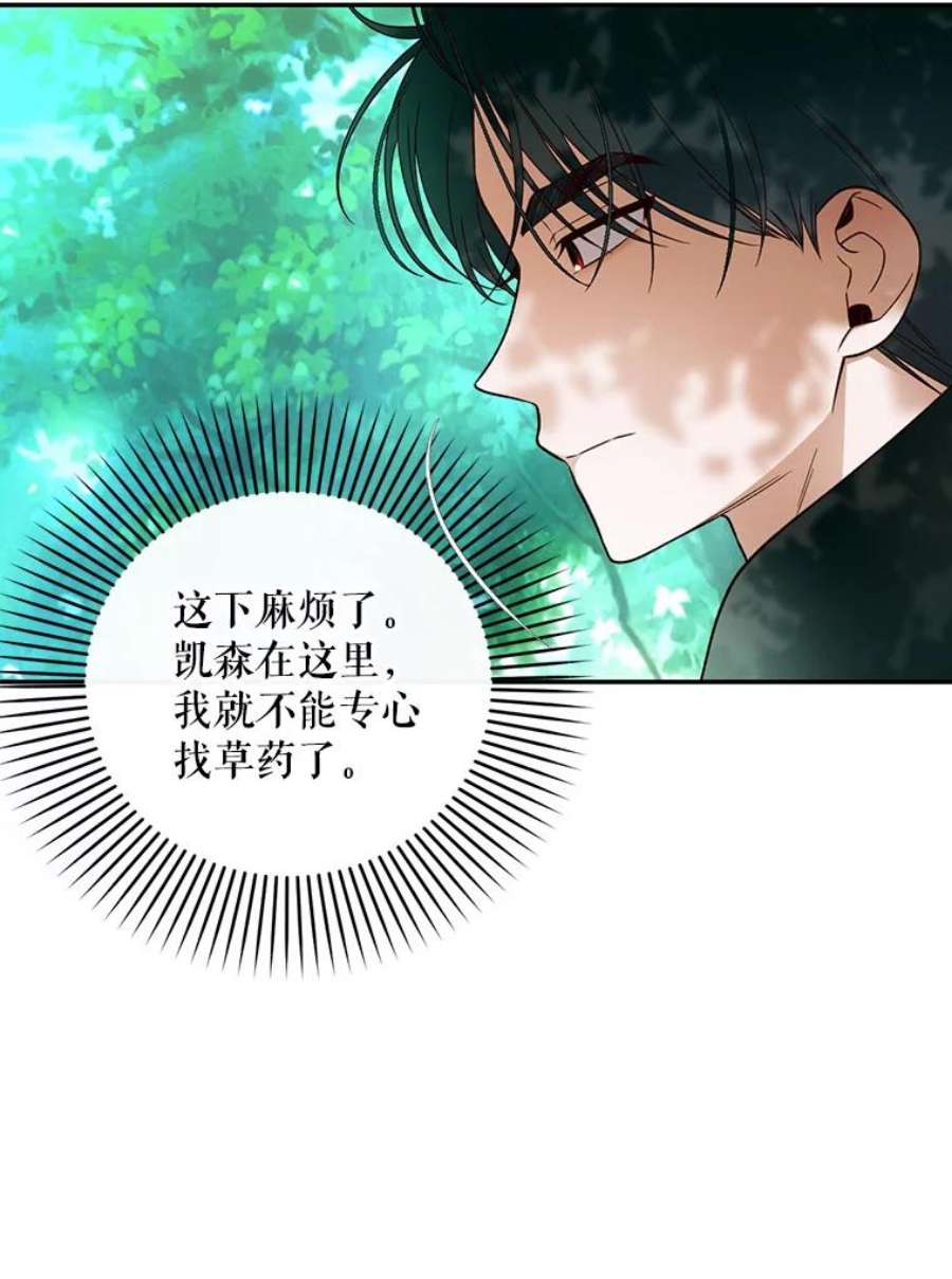 如何隐藏皇帝的孩子22.采草药