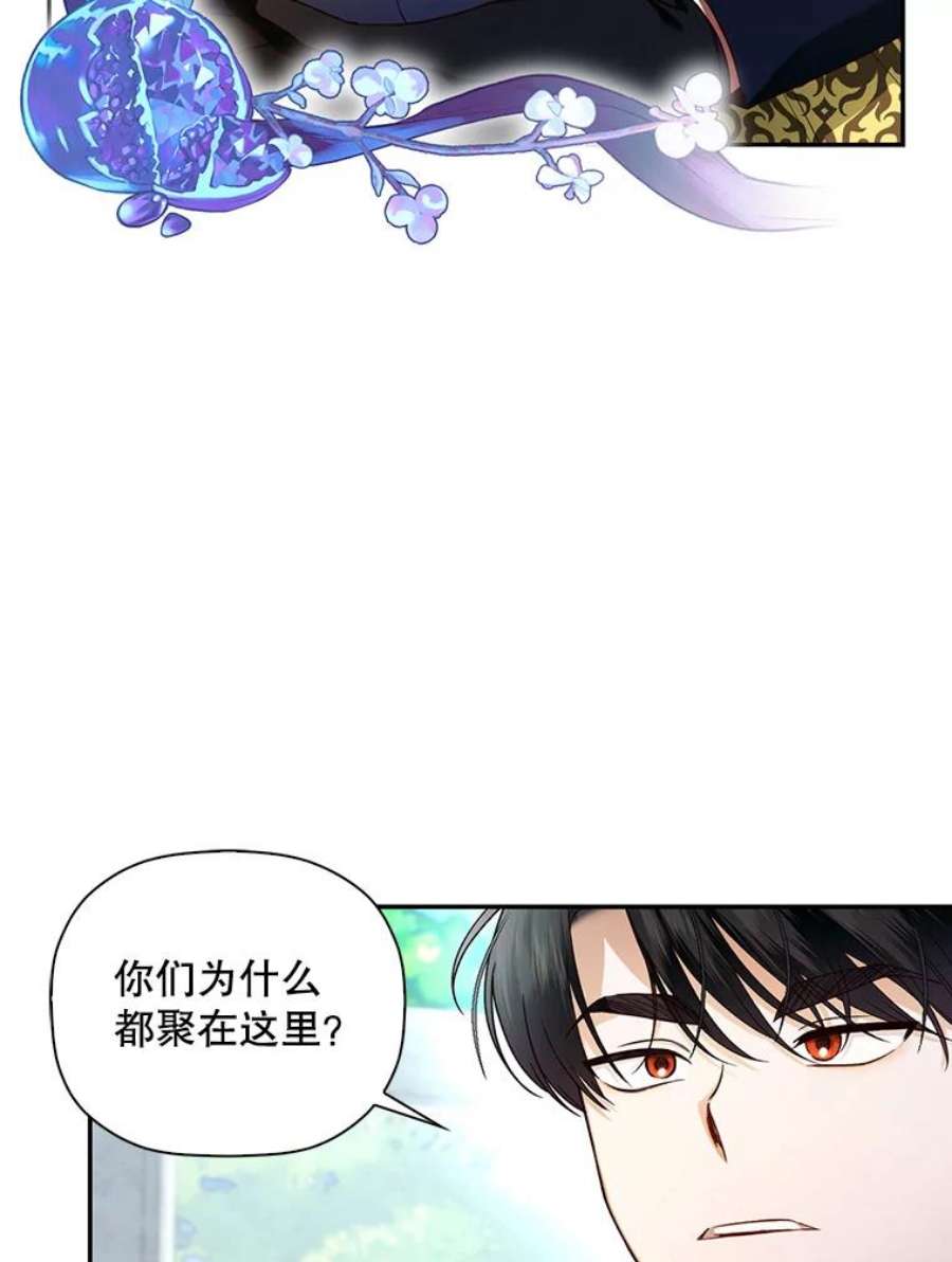 如何隐藏皇帝的孩子30.九死一生