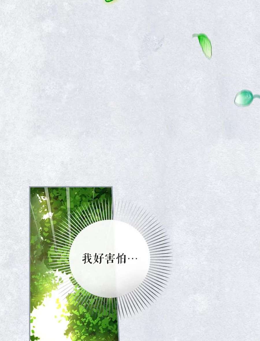 如何隐藏皇帝的孩子30.九死一生
