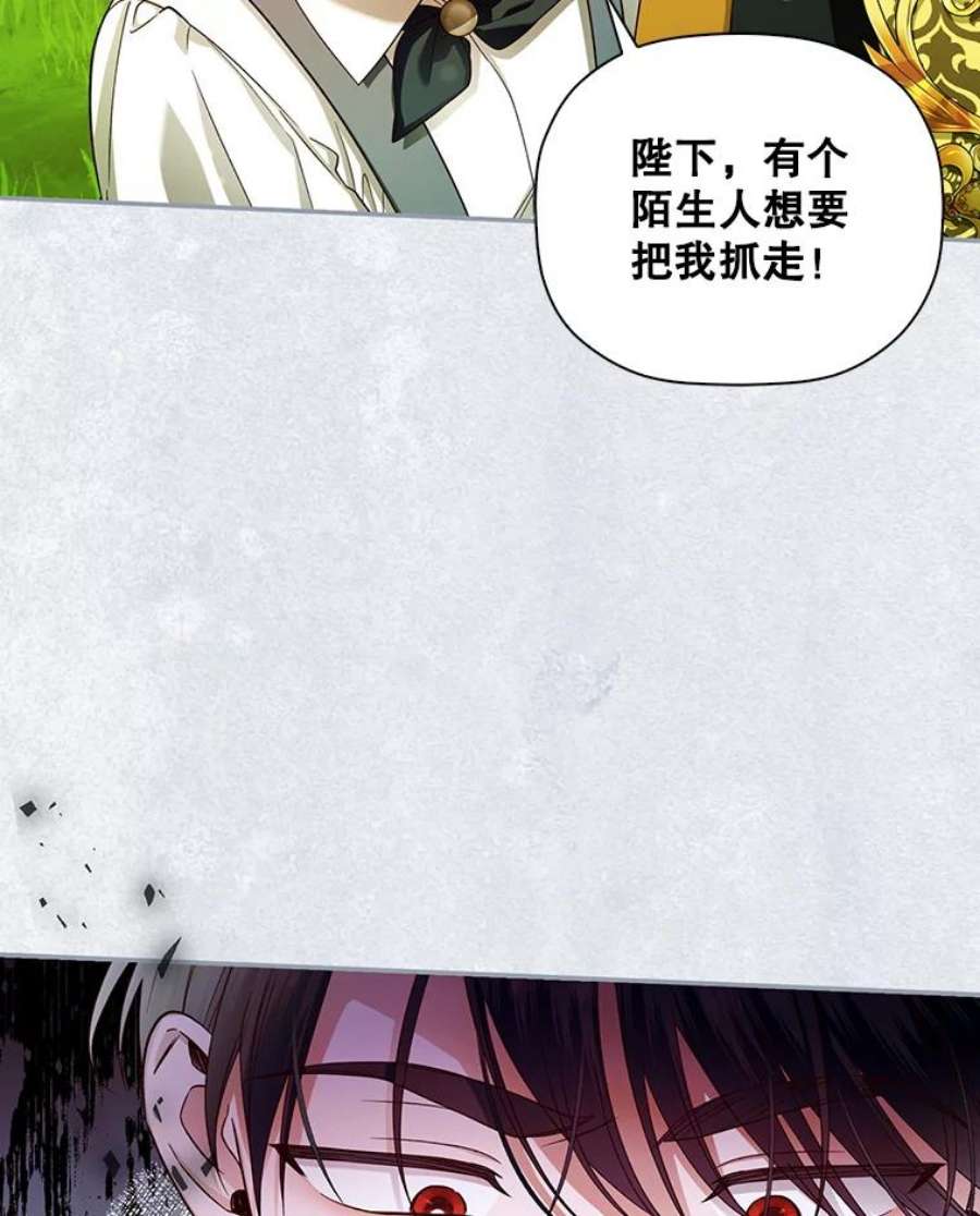 如何隐藏皇帝的孩子30.九死一生