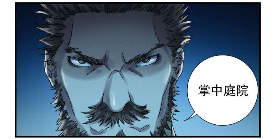 传武第一百零八条：掌中庭院