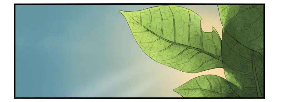 传武三十条：告一段落