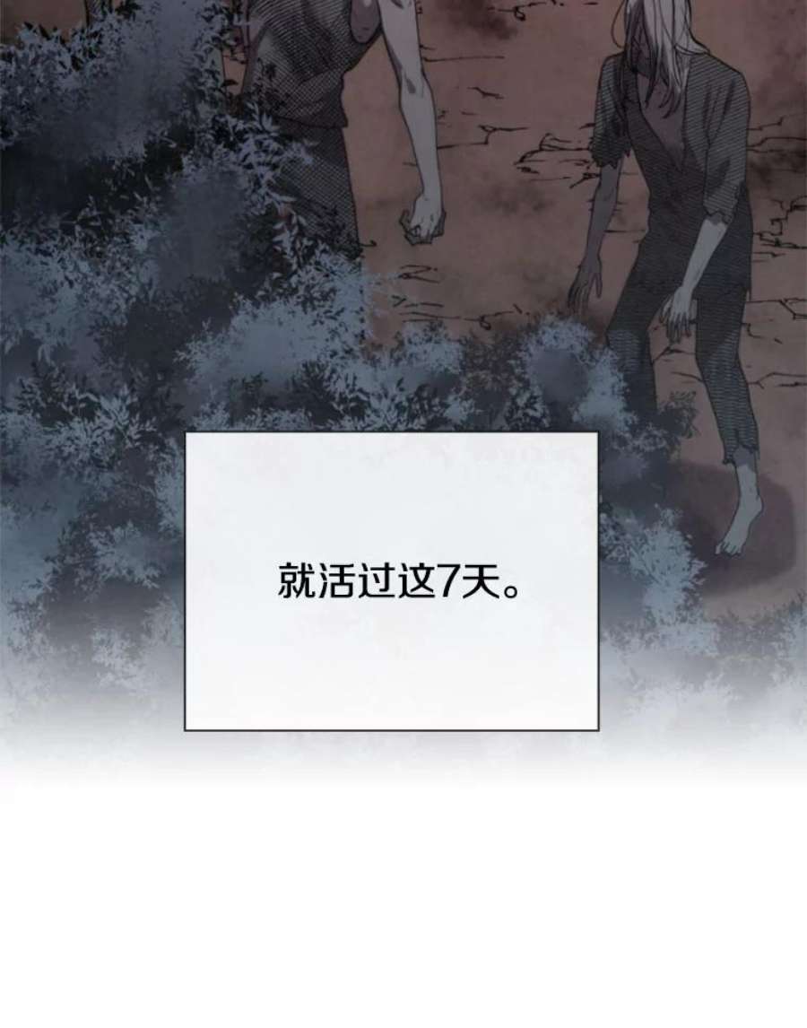 记忆3.新的伙伴（上）