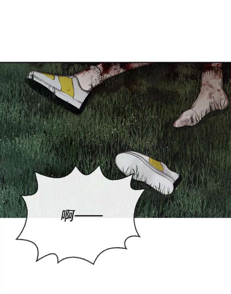 记忆8.重返森林