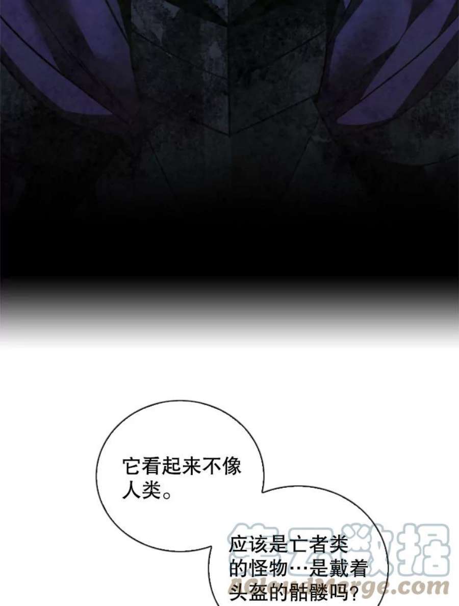 记忆58.魔法抵抗怪物