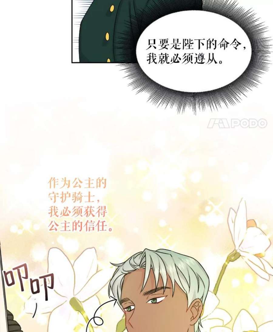 灭亡的公主6.守护骑士